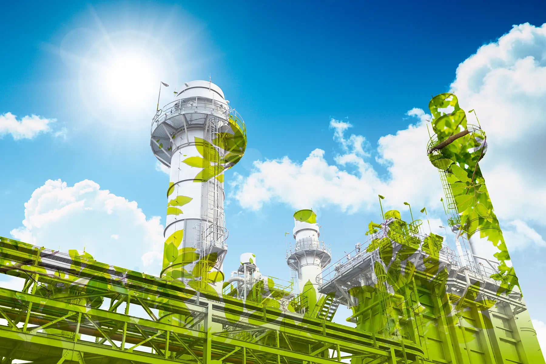 Regulatory Compliance Support