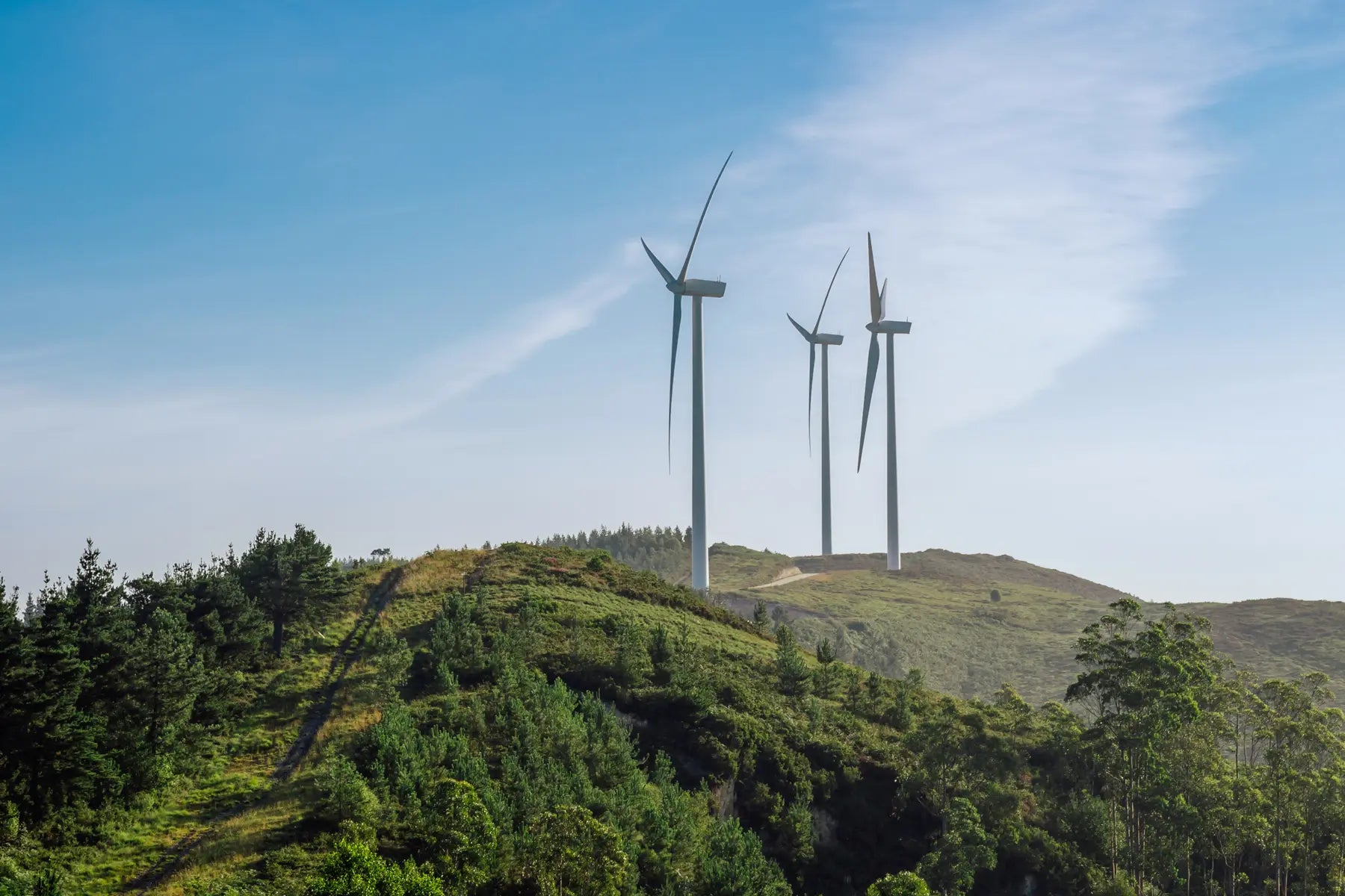 Energy and Renewable Adhesive and Sealant Solutions